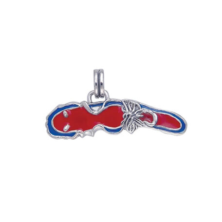 red and blue enamel Nudibranch Sterling Silver Pendant